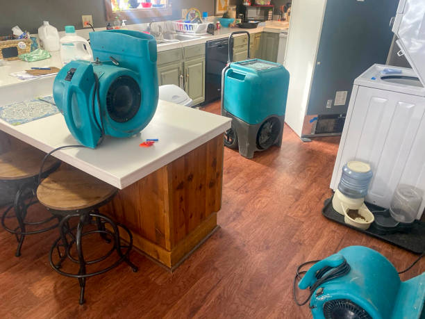 Best Professional water damage repair  in Peebles, OH