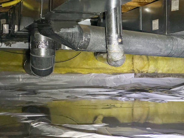 Best Ceiling water damage repair  in Peebles, OH