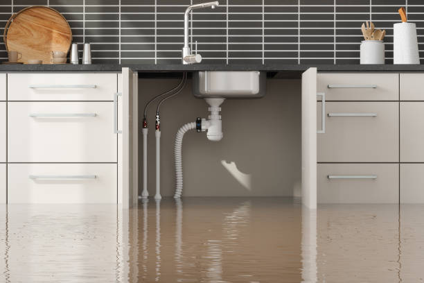  Peebles, OH Water damage restoration Pros